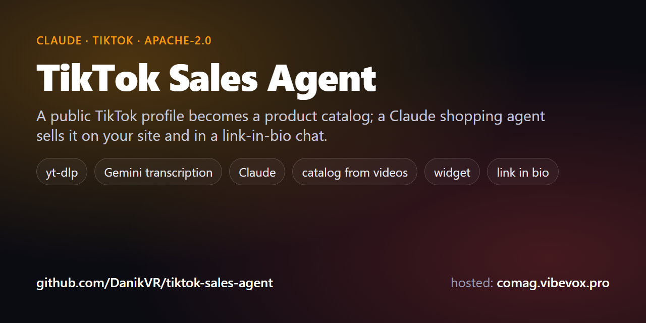 tiktok-sales-agent