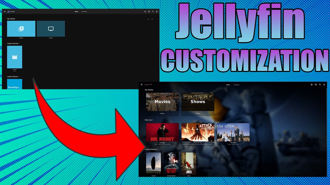 jellyfin-skin-manager