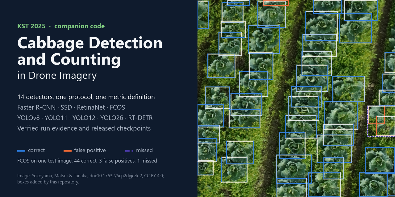 cabbage-detection-counting