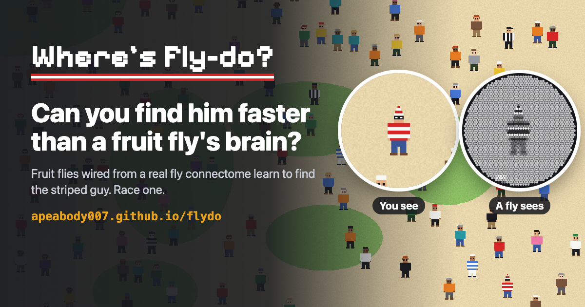 flydo