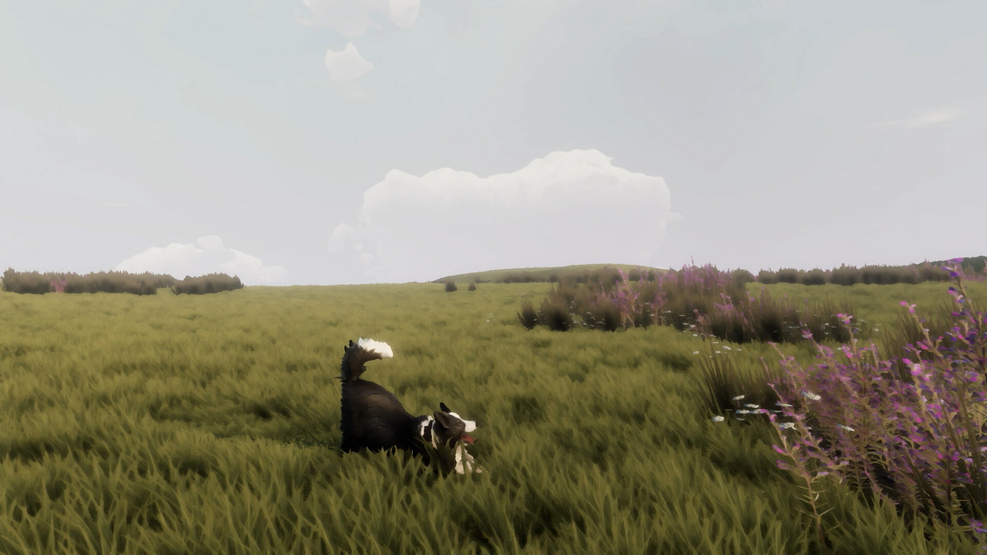 Shepherd-Devlog-2026
