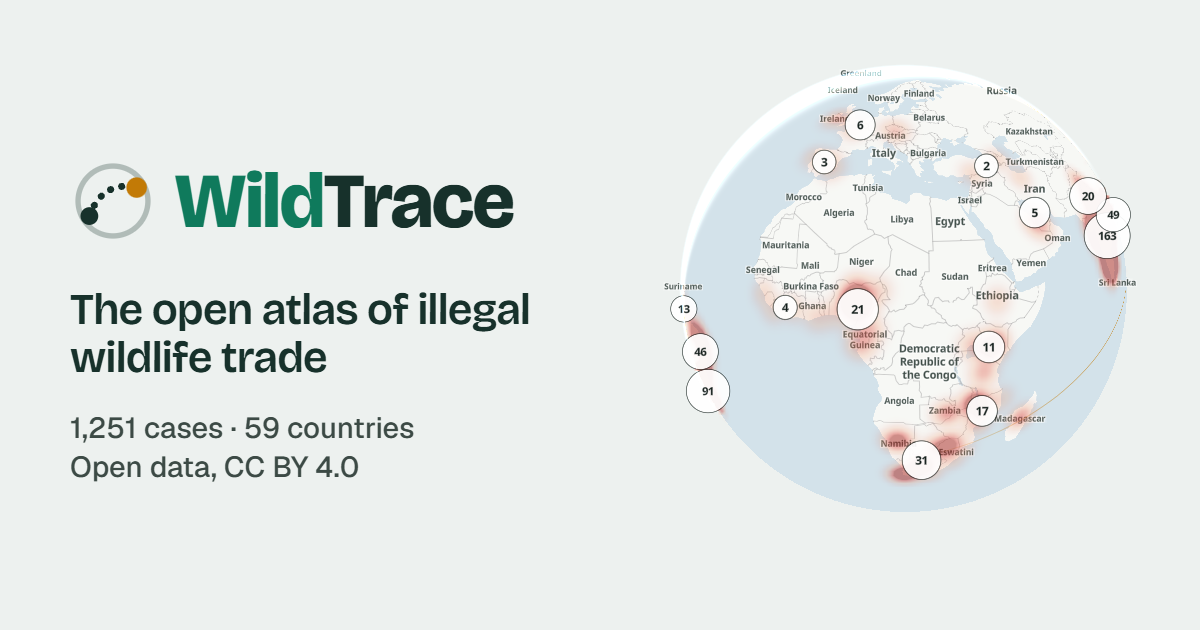 wildtrace