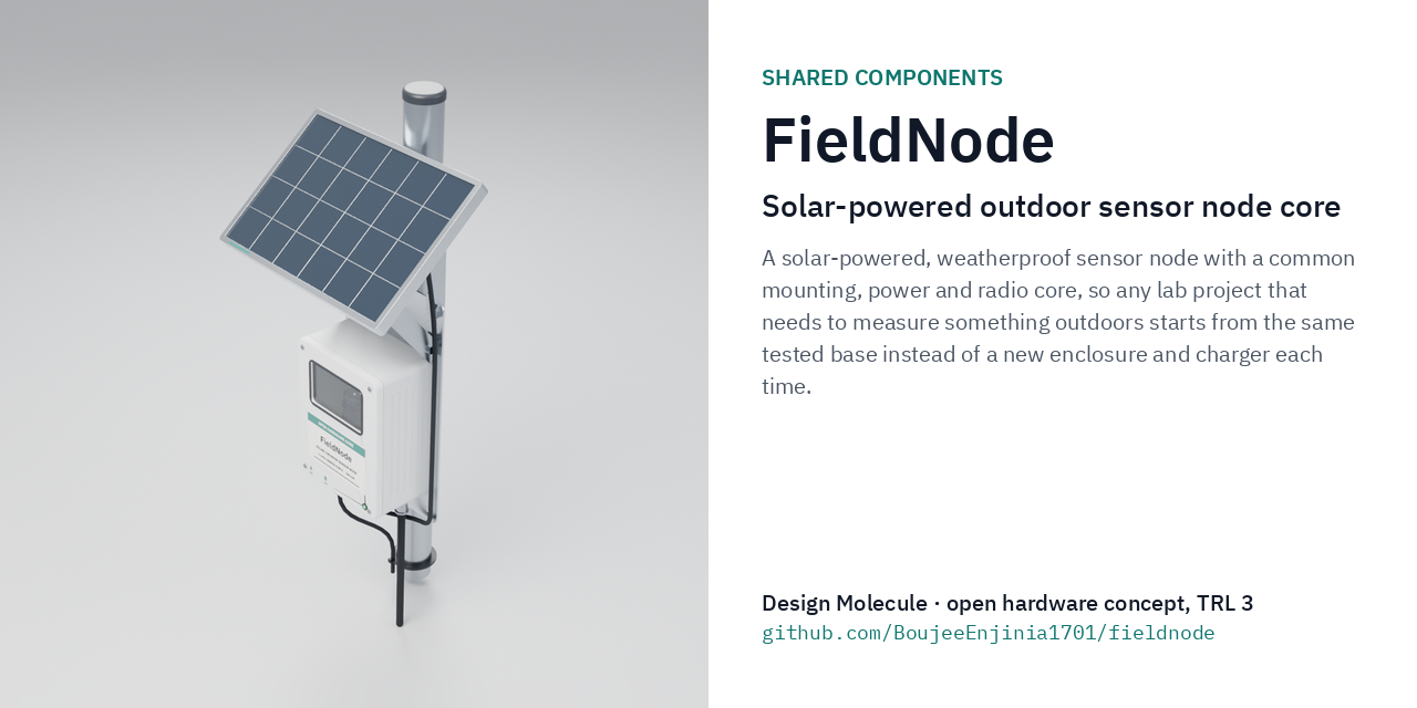 fieldnode