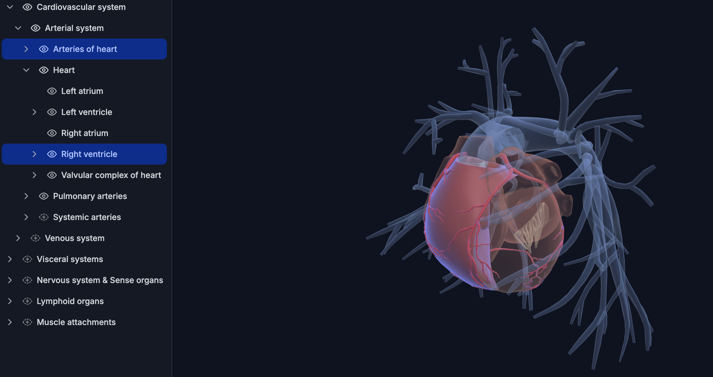 3d-anatomy-atlas