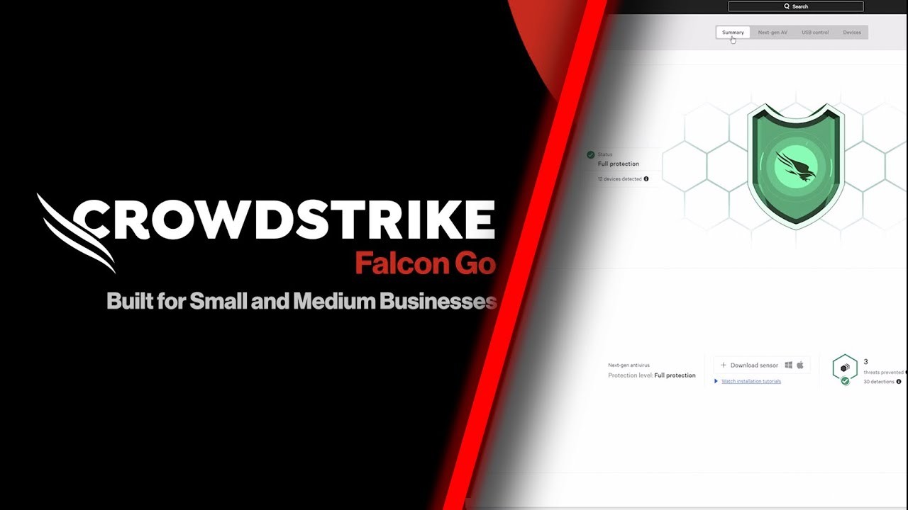 Crowdstrike-Falcon-Go