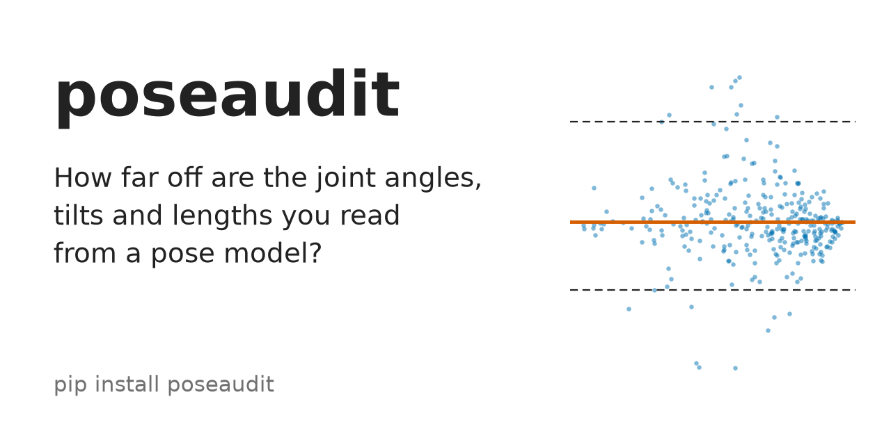 poseaudit