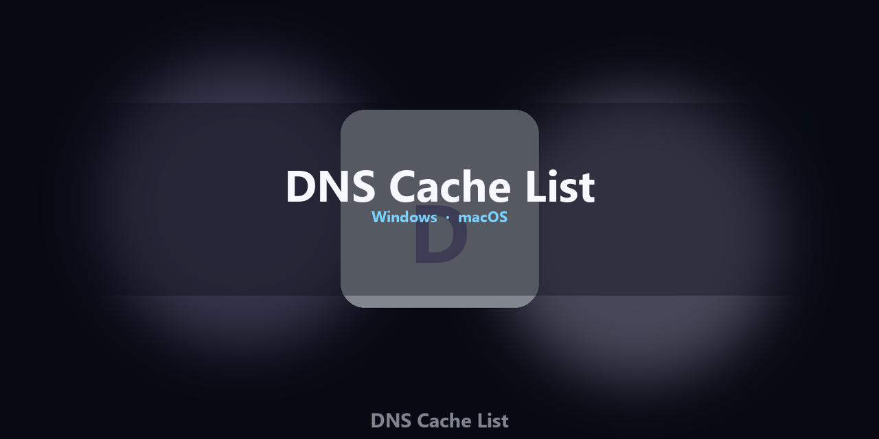 dns-cache-list
