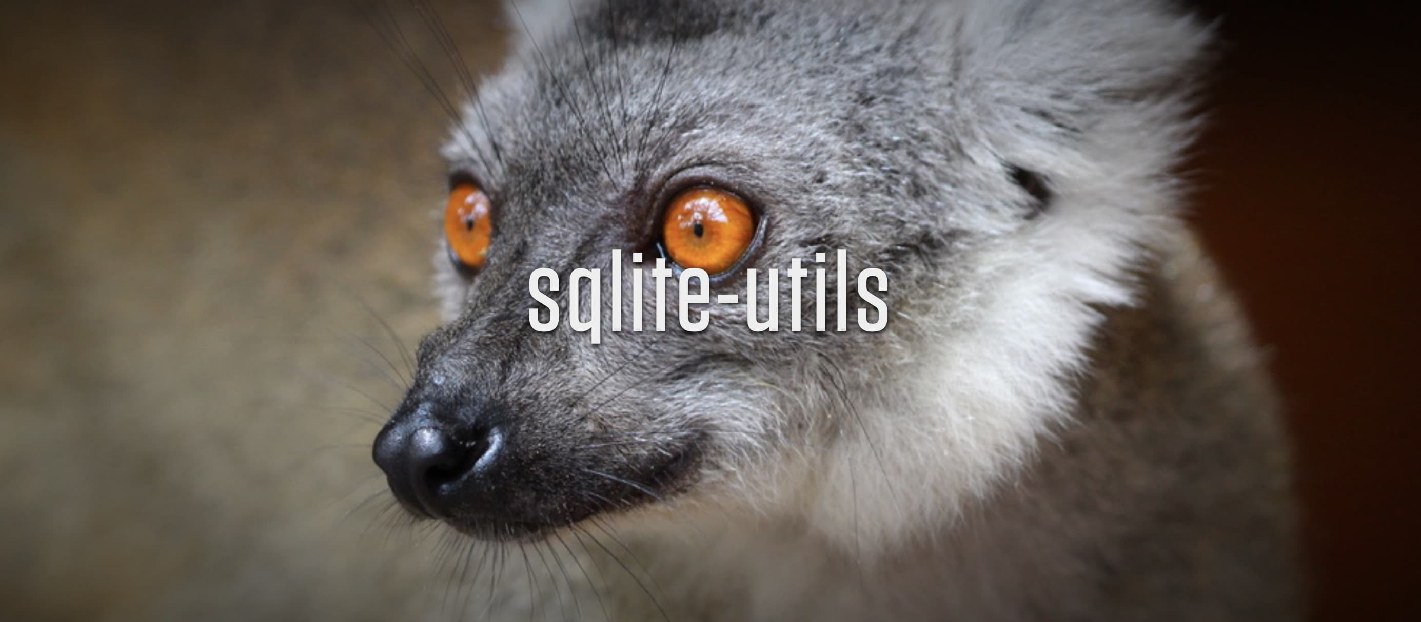 sqlite-utils