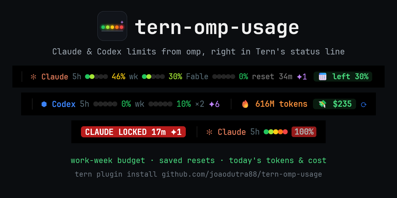 tern-omp-usage