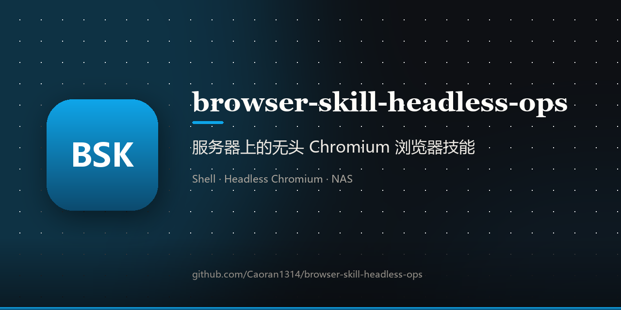 browser-skill-headless-ops