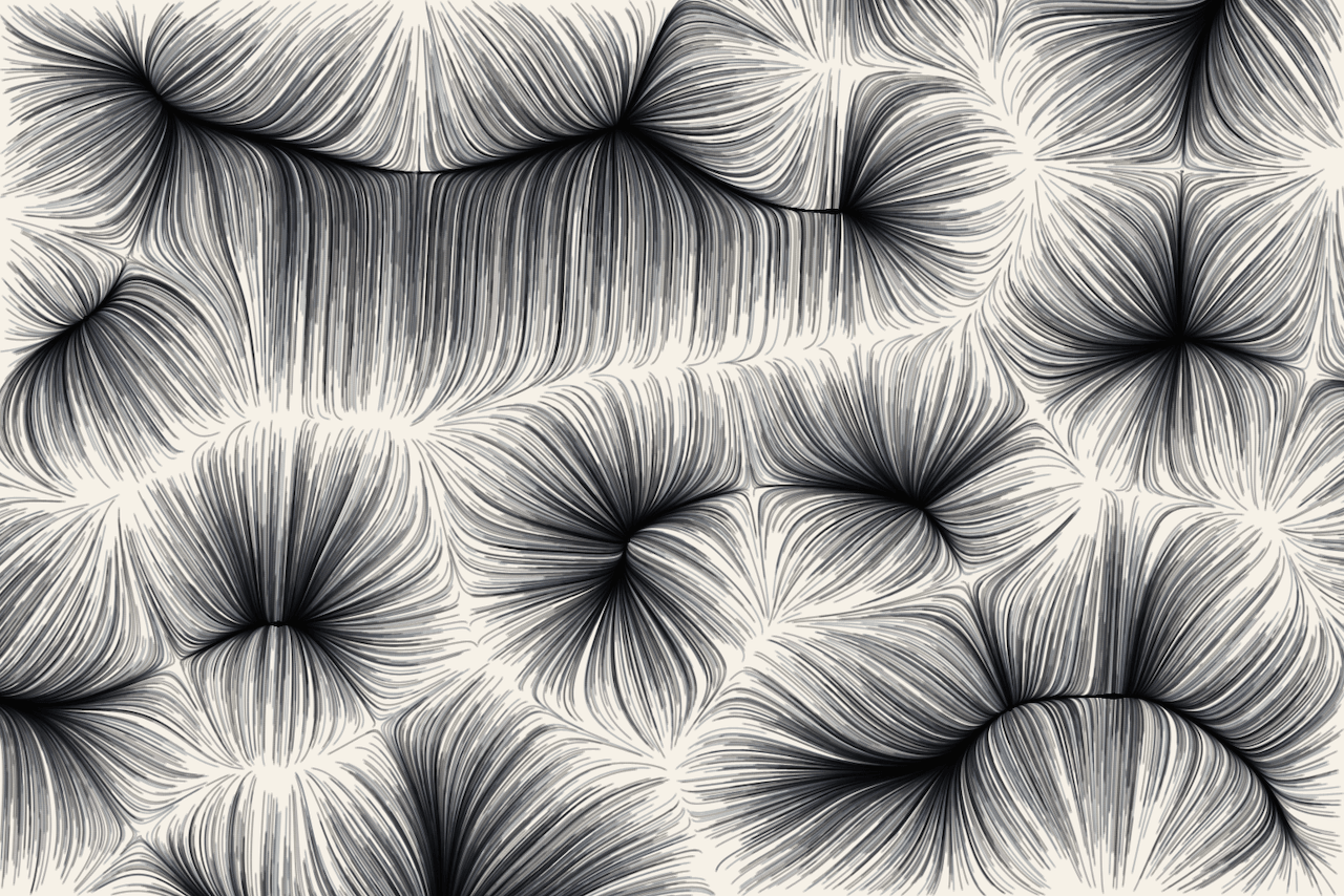 flow-fields