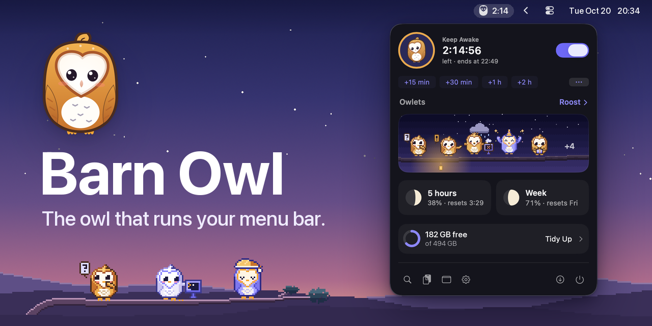 barnowl