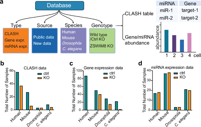 database-for-mir-mrna-target-interactions