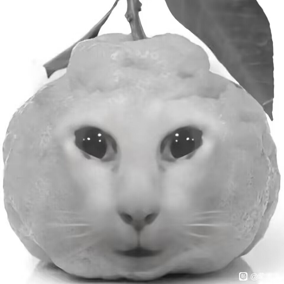 Network Graph · I0D0K/Tutler · GitHub