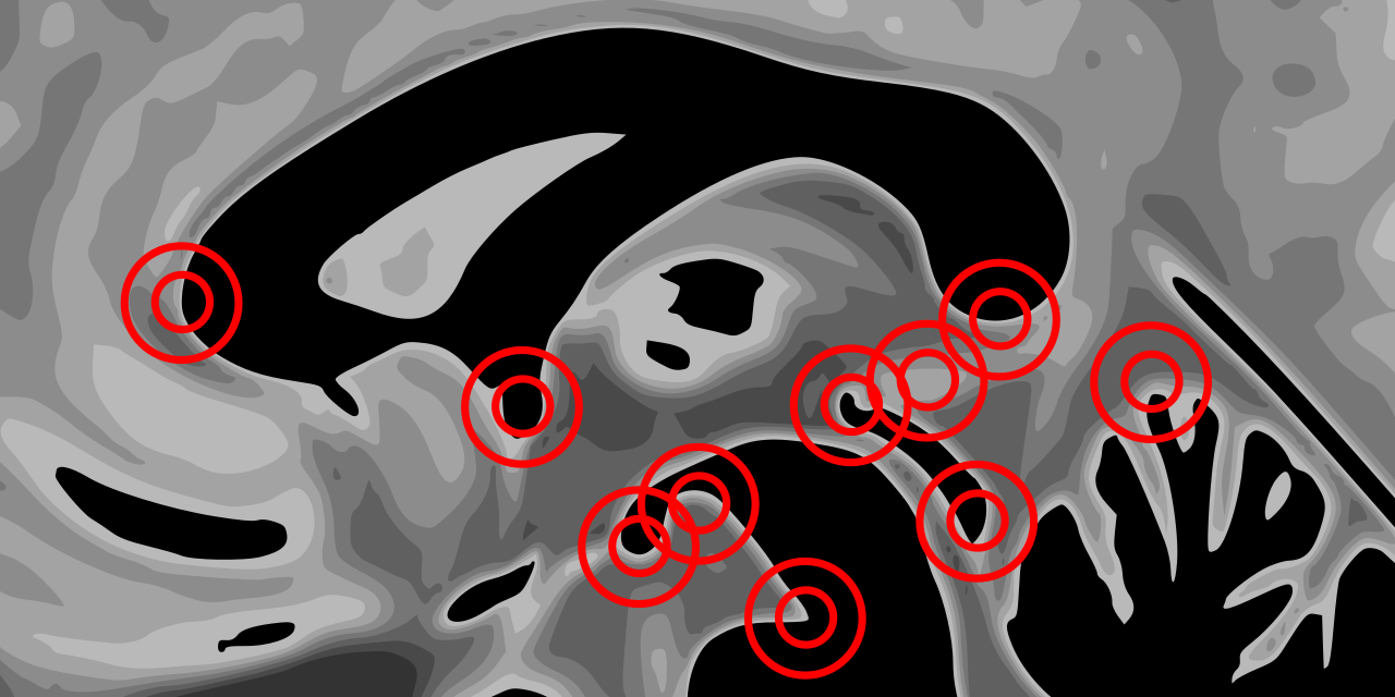 afids-protocol-original