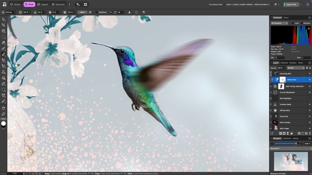 affinity-photo-scripts-2026