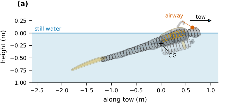 rescue_tow_airway