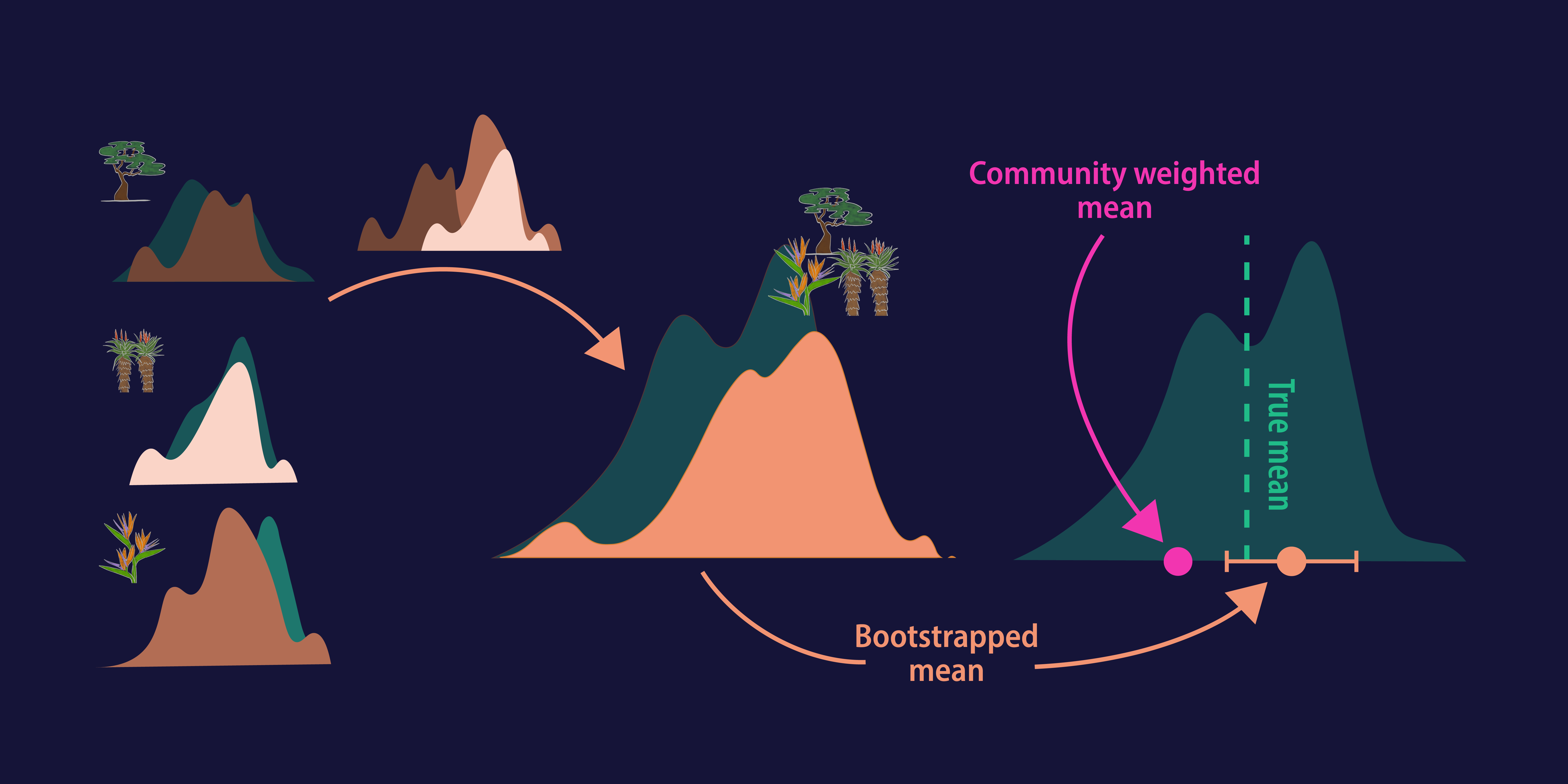 GitHub - EnquistLab/trait_bootstrap_ms: Code used to assess the ...