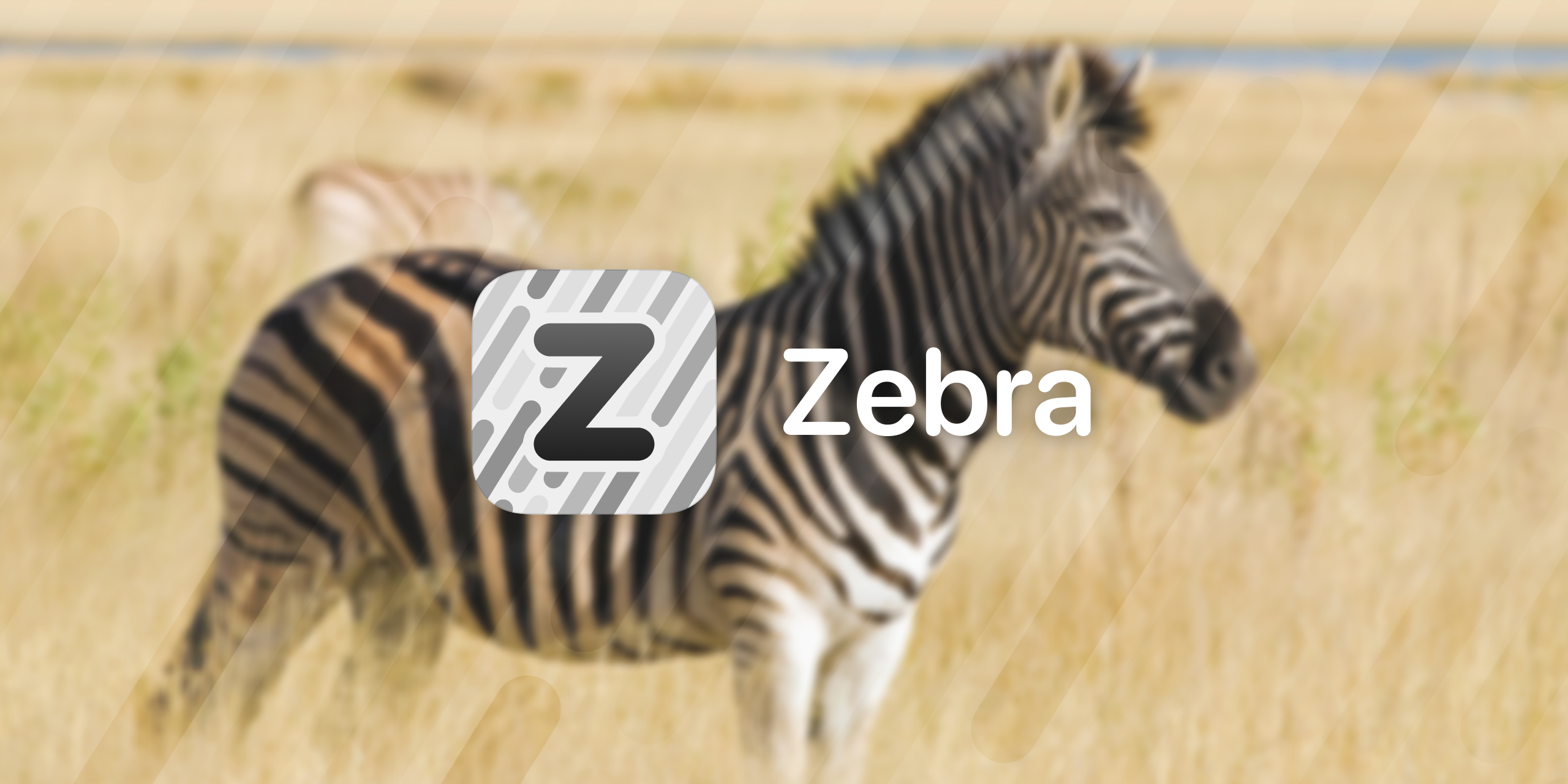  Zebra