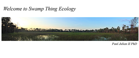 GitHub - SwampThingPaul/SwampThingPaul.github.io: Template for creating ...