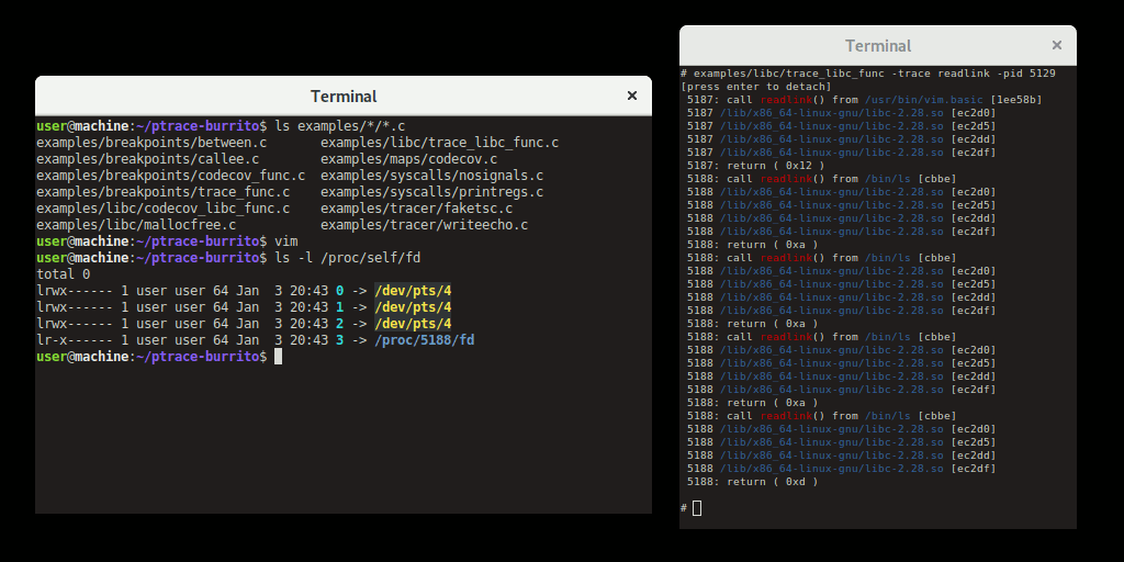 ptrace-burrito