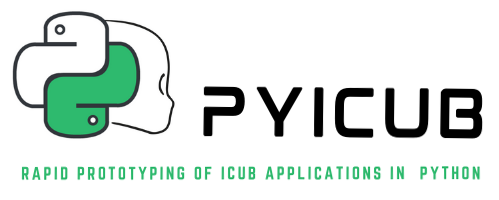 pyicub