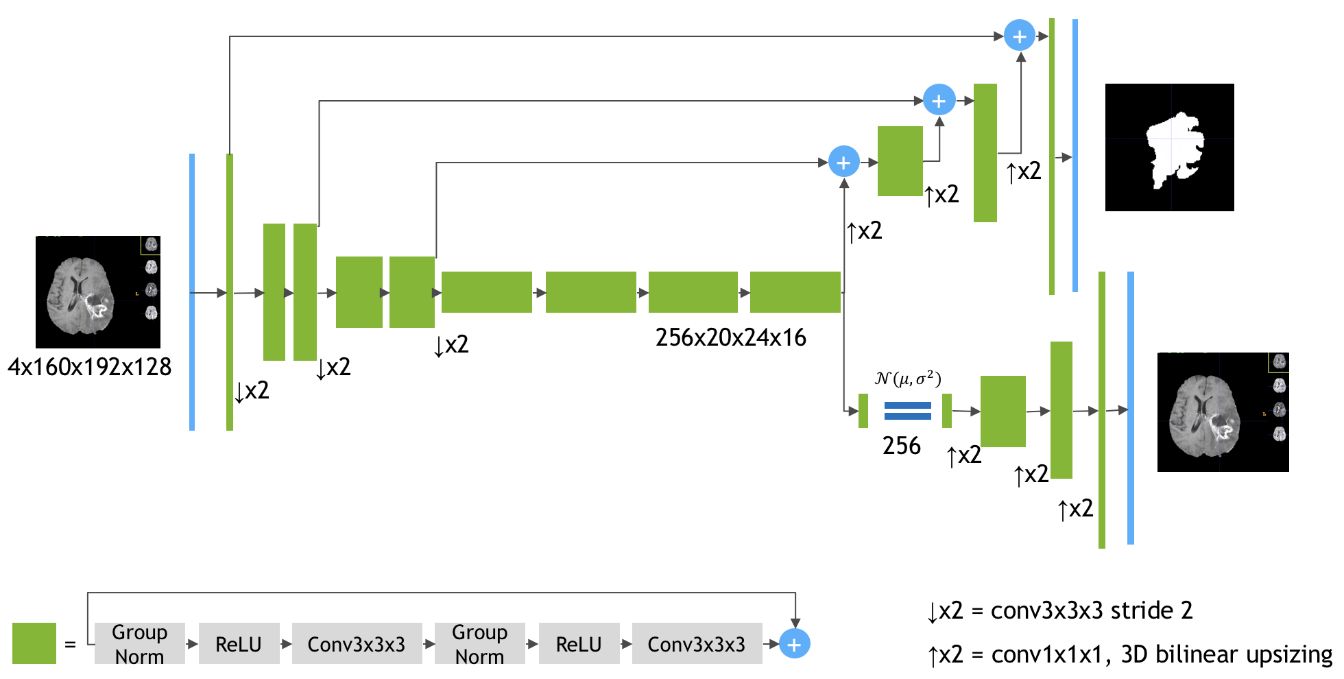 3D-Mri-brain-rain-remor-refation-using-autoEncoder-regulachization