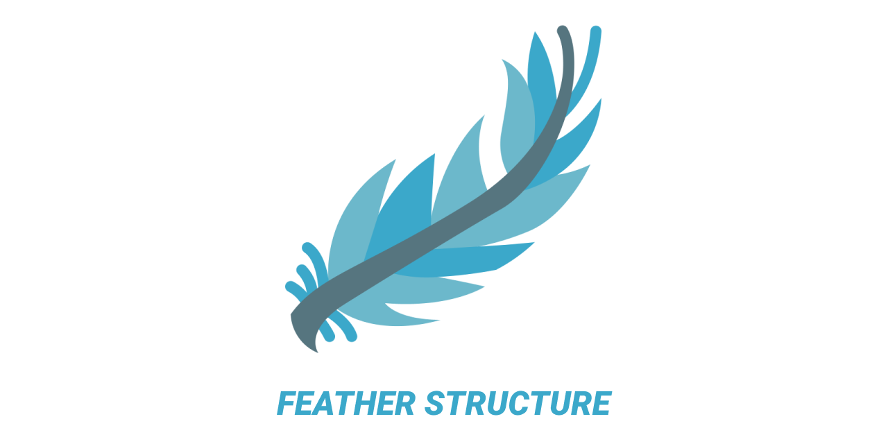 GitHub - popuguytheparrot/feather-structure: 🧾These are thoughts how to ...