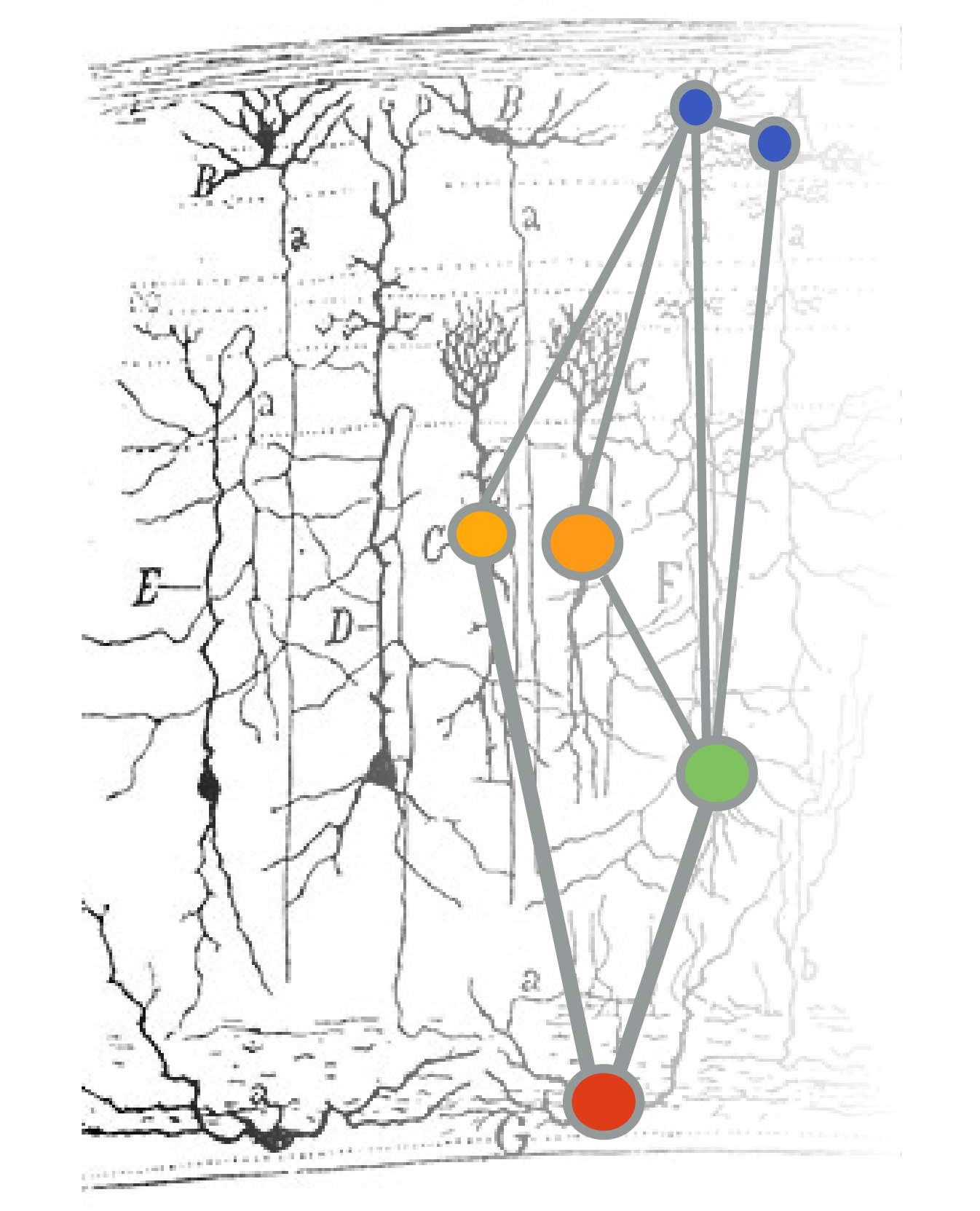 GitHub - ajuavinett/CellTypesLesson: Code and documentation to analyze ...