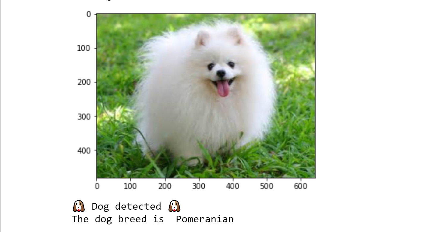 GitHub sanmitraD/DogbreedclassificationusingCNNs submission to