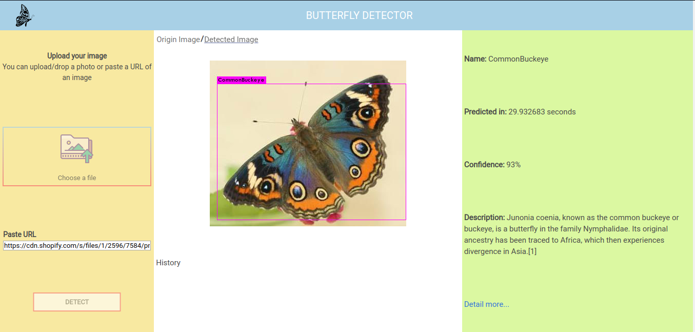 butterfly-detector