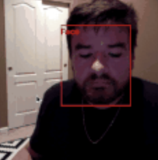 GitHub - wilderfield/webcam-client: Javascript magic to capture webcam ...