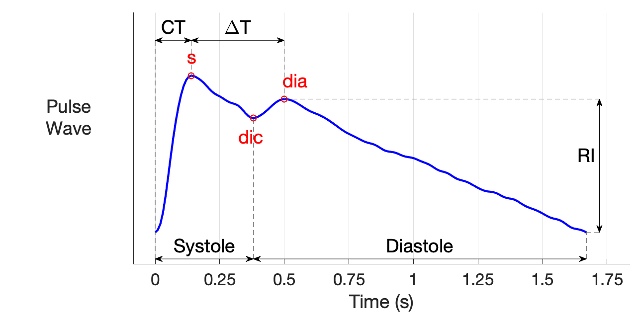 GitHub - peterhcharlton/pulse-analyse: Analysing arterial pulse waves ...