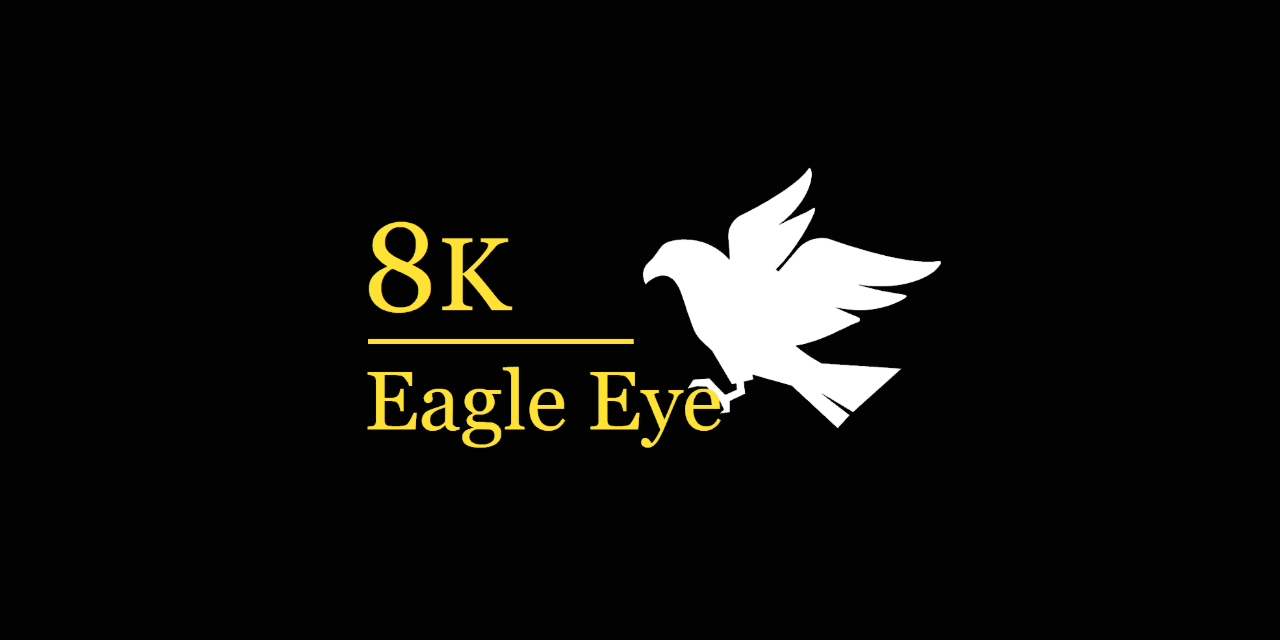 GitHub - 8k-eagle-eye/eagle-eye: 🦅 Eagle Eye is video streaming player ...