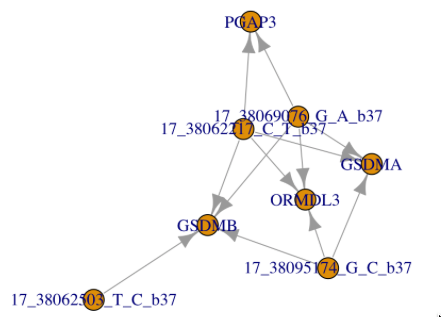 GitHub - vjcitn/jpNetPack: Infrastructure for gene regulatory network ...