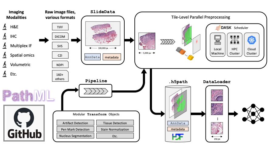 Processing topic. Транскриптомика. Digital Pathology. UNET Segmentation.