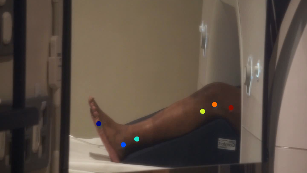 GitHub jabrantley/dlc_wrapper Wrapper for deeplabcut