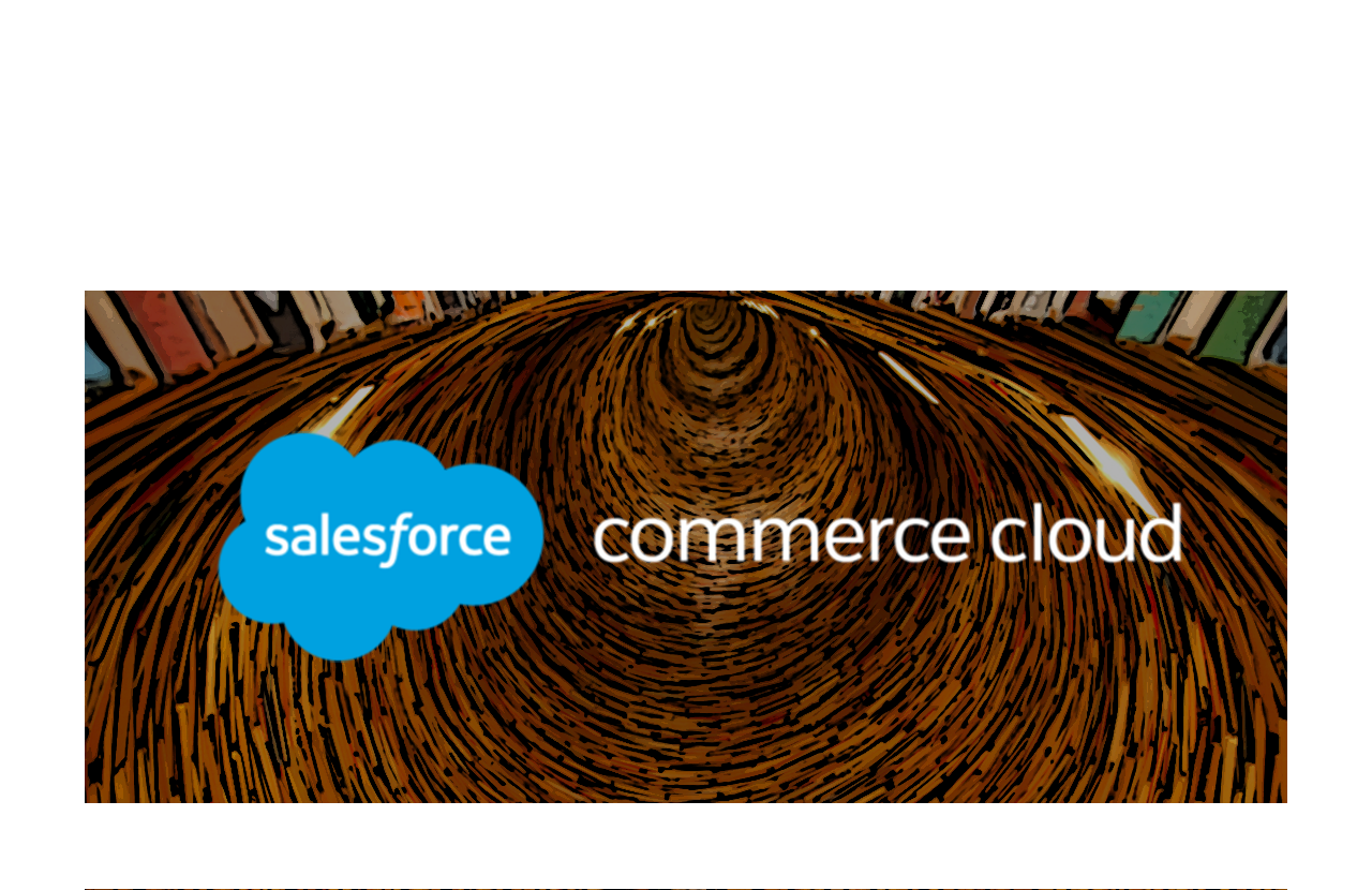 salesforce-commerce-cloud-libraries