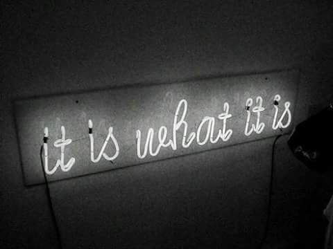 noahsarkproject.link