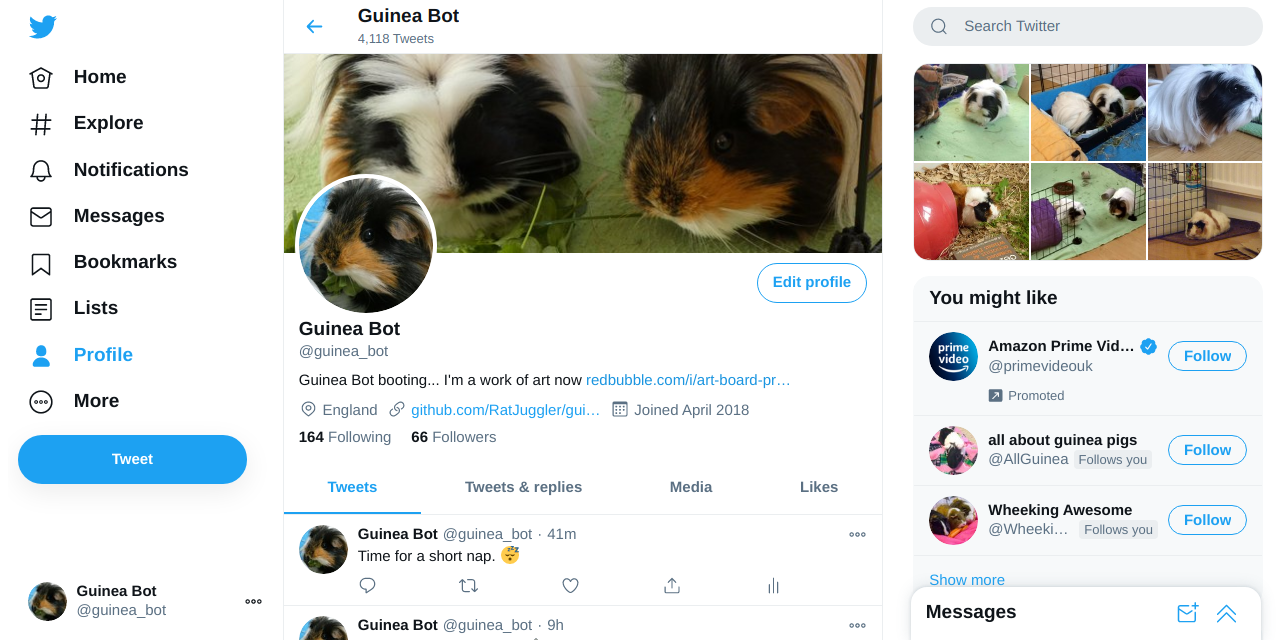 guinea-bot