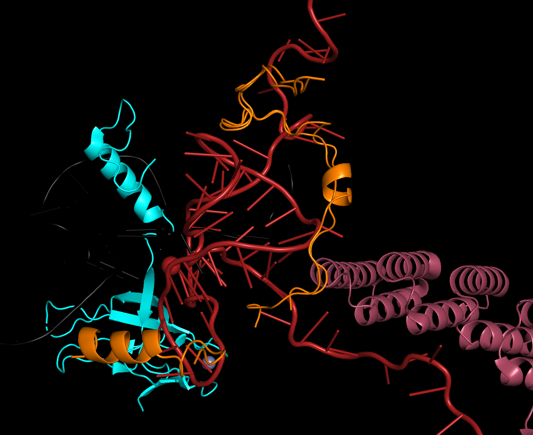 PyMOL4Spliceosome