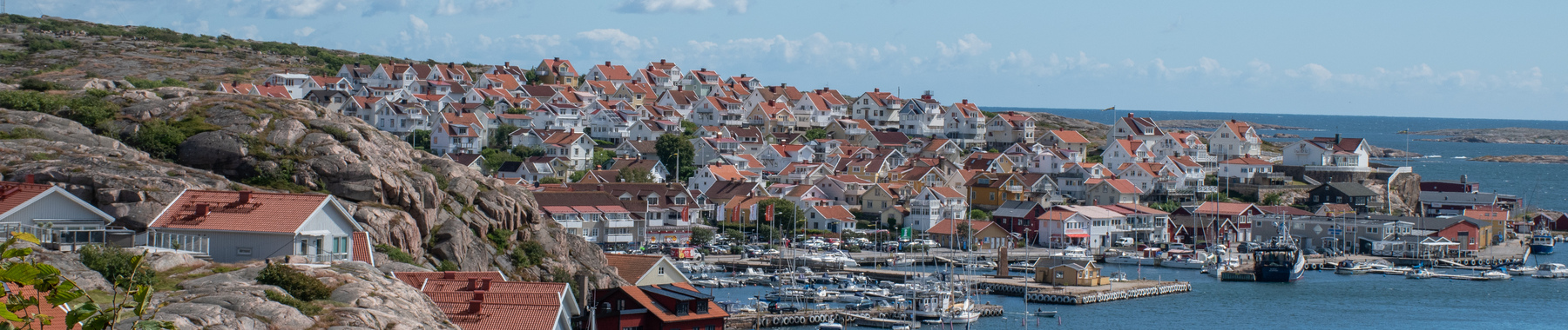 valueguard-python-client