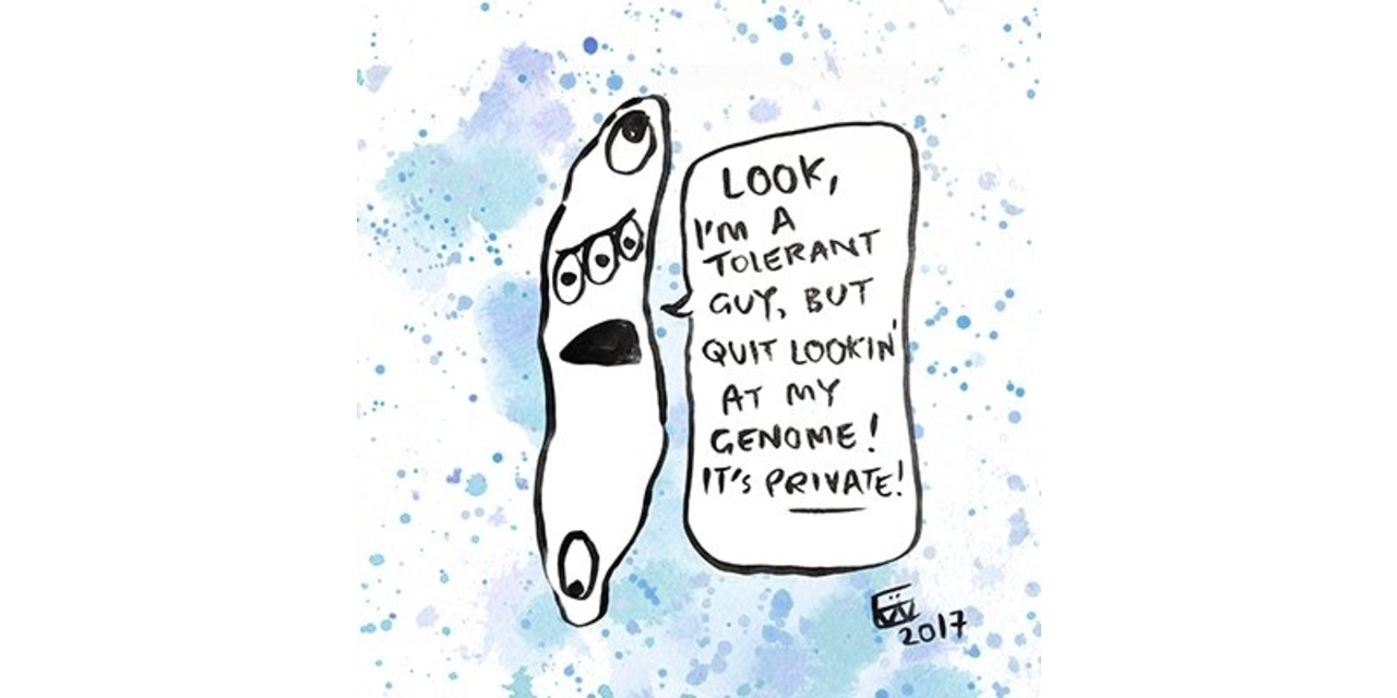 genome-convolution-kernels