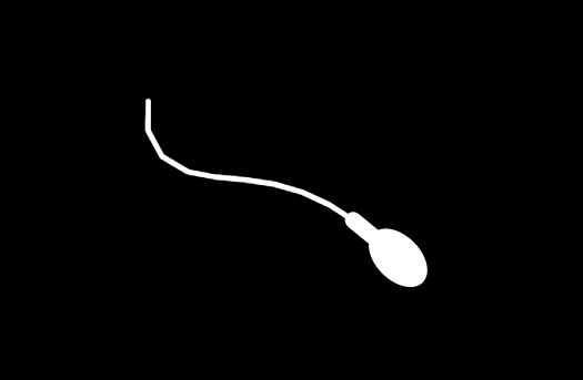 tadpoles-simulation-svg-react