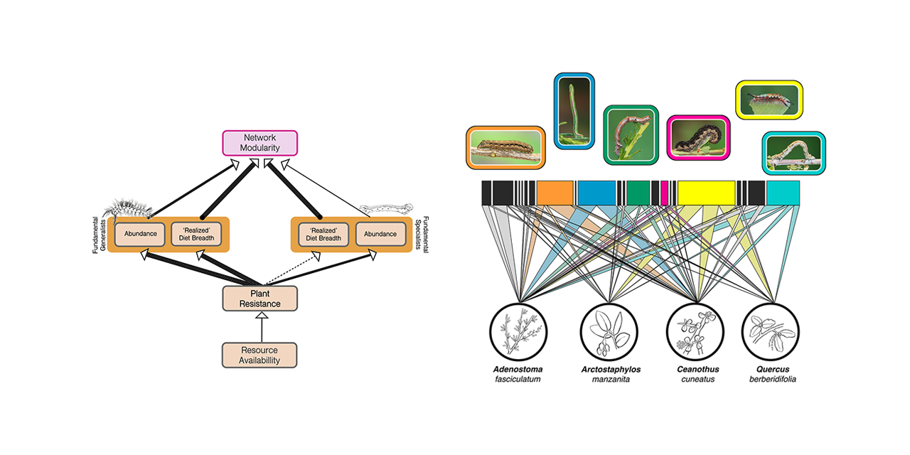 ph-soil-networks-2019