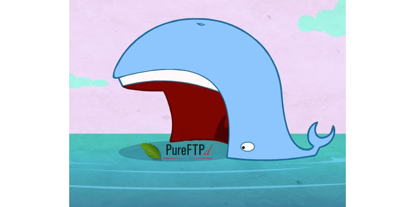 docker-pure-ftpd