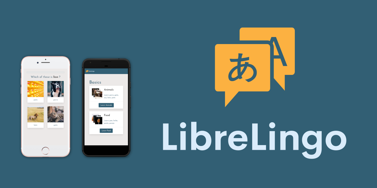 LibreLingo Svelte Themes