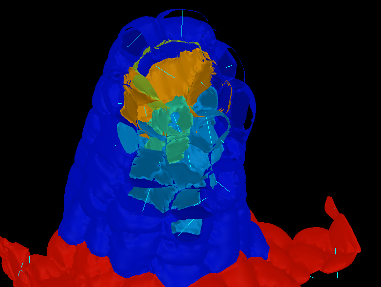GitHub - GabriellaMosca/3DAutoLabeling-ShapeQuant: Plugin for ...