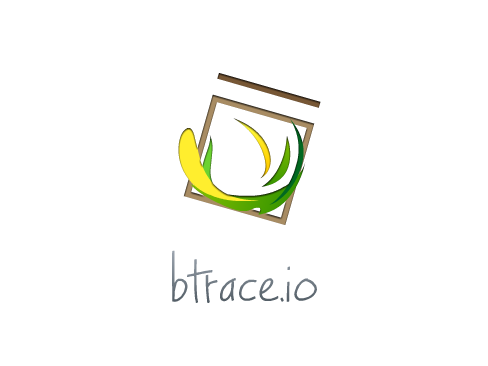 btraceio/btrace