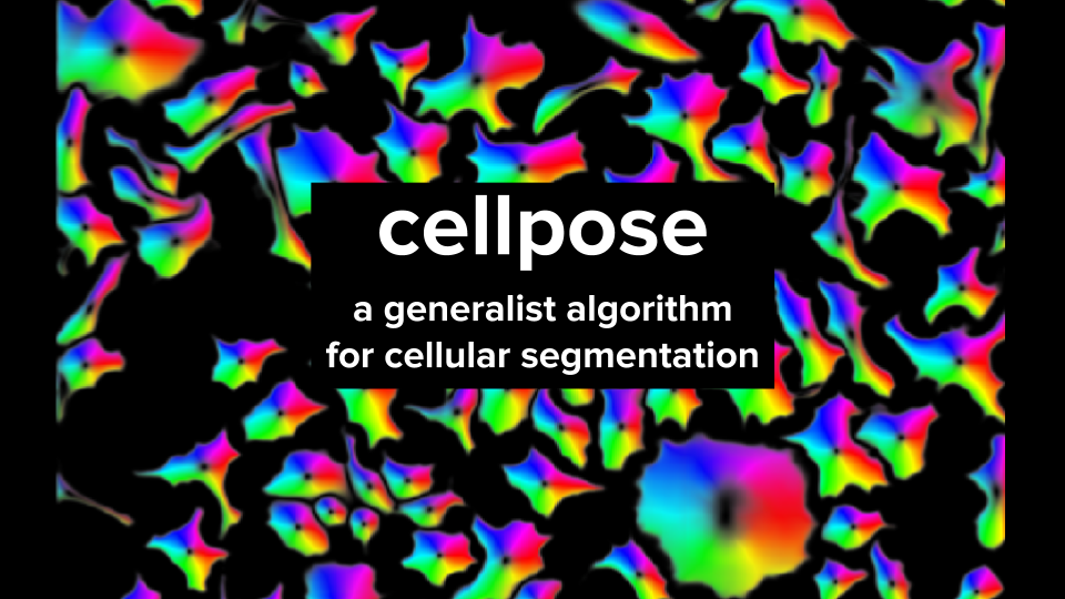 Deep learning cell sales segmentation